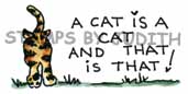F-132 A Cat Is A Cat